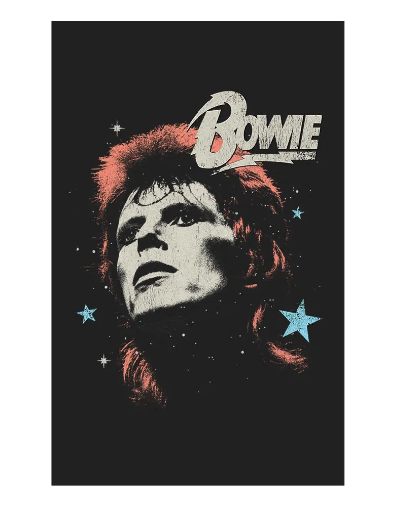 BOWIE STARS PORTRAIT OVERSIZED TEE