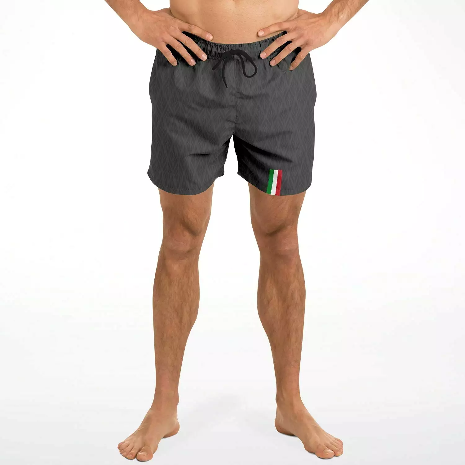 Italia Swim trunks grey